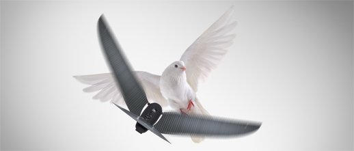 FrenchyConnect's tweet photo. Bionic Bird Un drone qui se prend pour un oiseau Le Mimétisme parfait #startup #IoT #FyConnect #frenchtech https://t.co/Zy6B3XCayc … https://t.co/b89n8Q3qzV