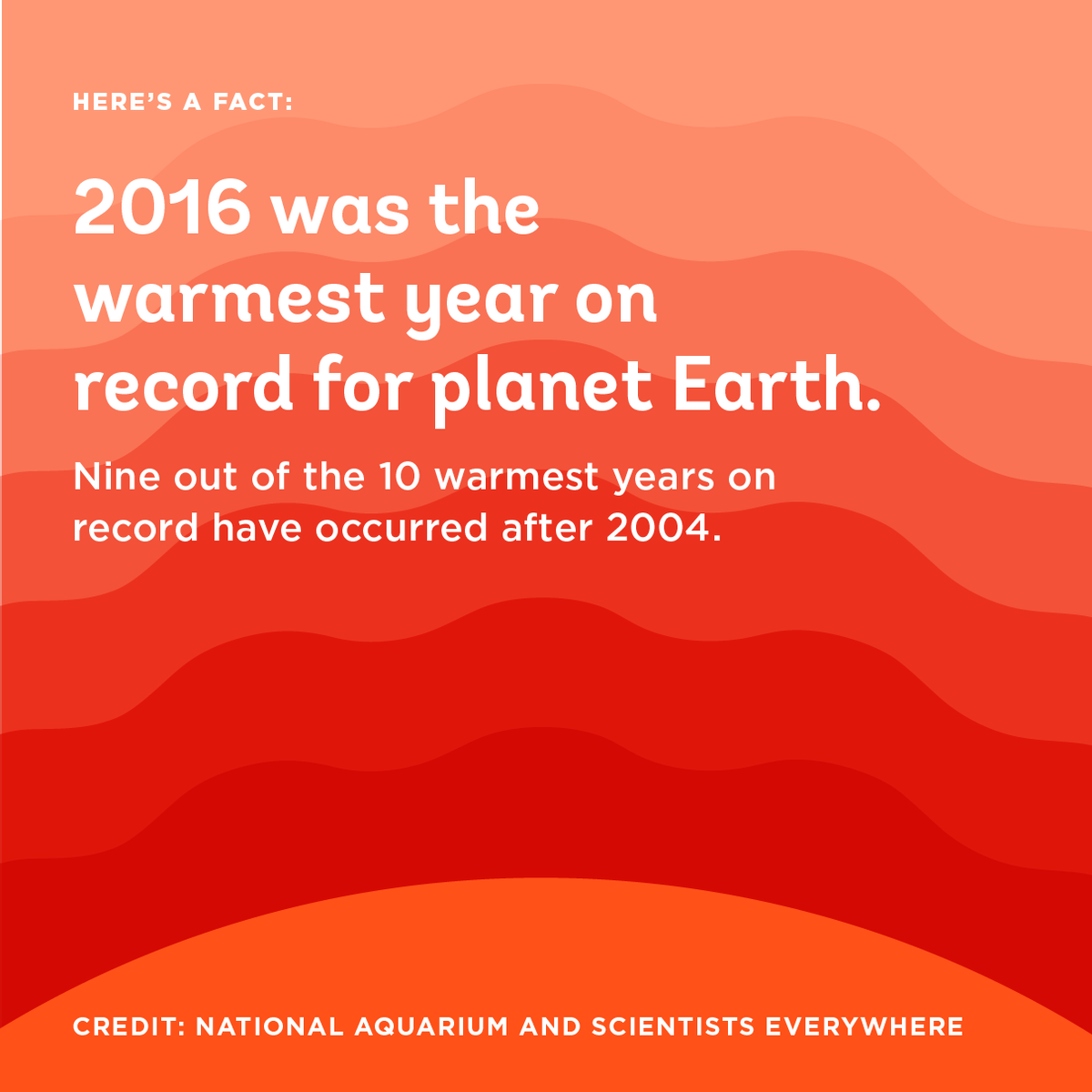 NatlAquarium's tweet photo. The planet is warming. Oceans have absorbed much of this increased heat, stressing aquatic habitats and the animals that depend on them. https://t.co/3WzTurmXCT