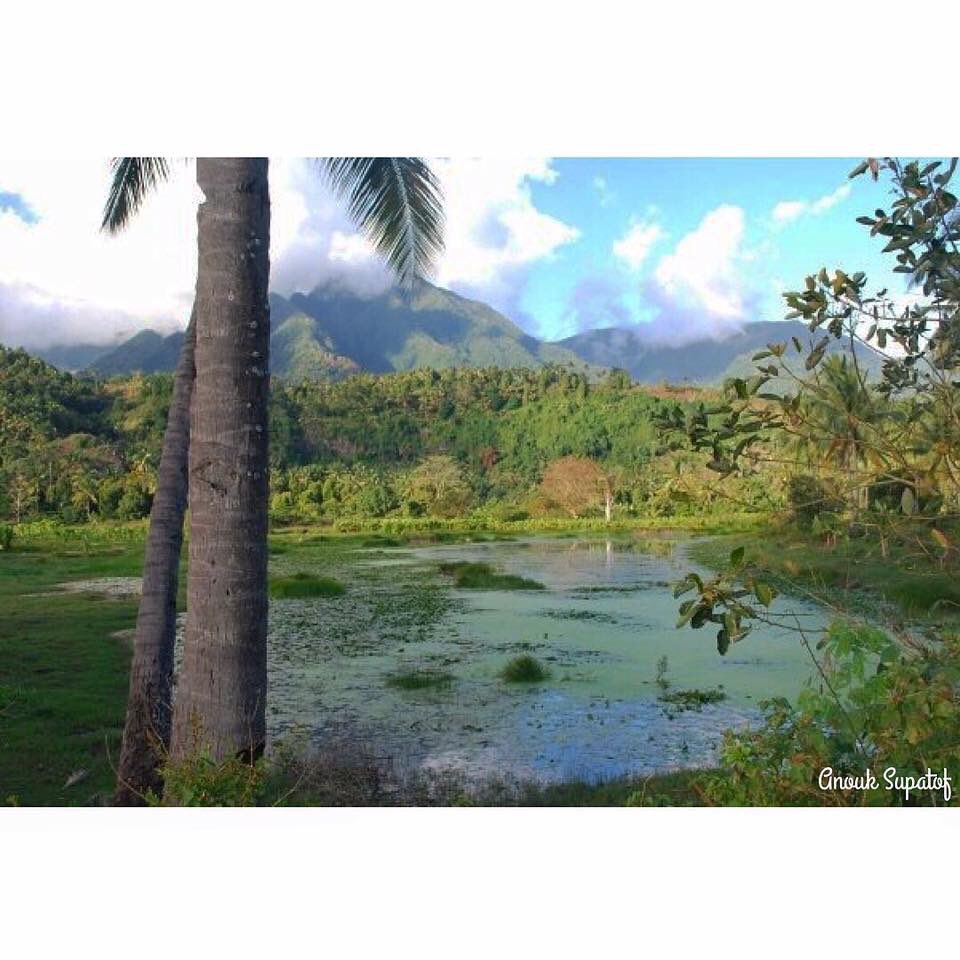 VELOAnouk's tweet photo. π#pomoni #anjouan π°π²
#massiwa269 #teamcomoko #teamcomoco #team269 #landscapelover #discovermores #discovercomores #paysagedescomores
@ https://t.co/RAcJuMsdGG