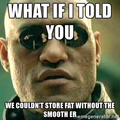 DLSSmoothER's tweet photo. We're just that important. #justsaying 😈 https://t.co/YCOWa9SA14