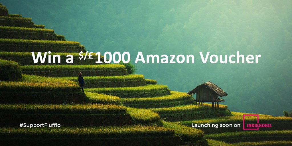 FluffioTP's tweet photo. #Win yourself a $1000 Amazon voucher. Simply Follow &amp; Retweet to win! #Giveaway #Competition https://t.co/nMYlwunn41