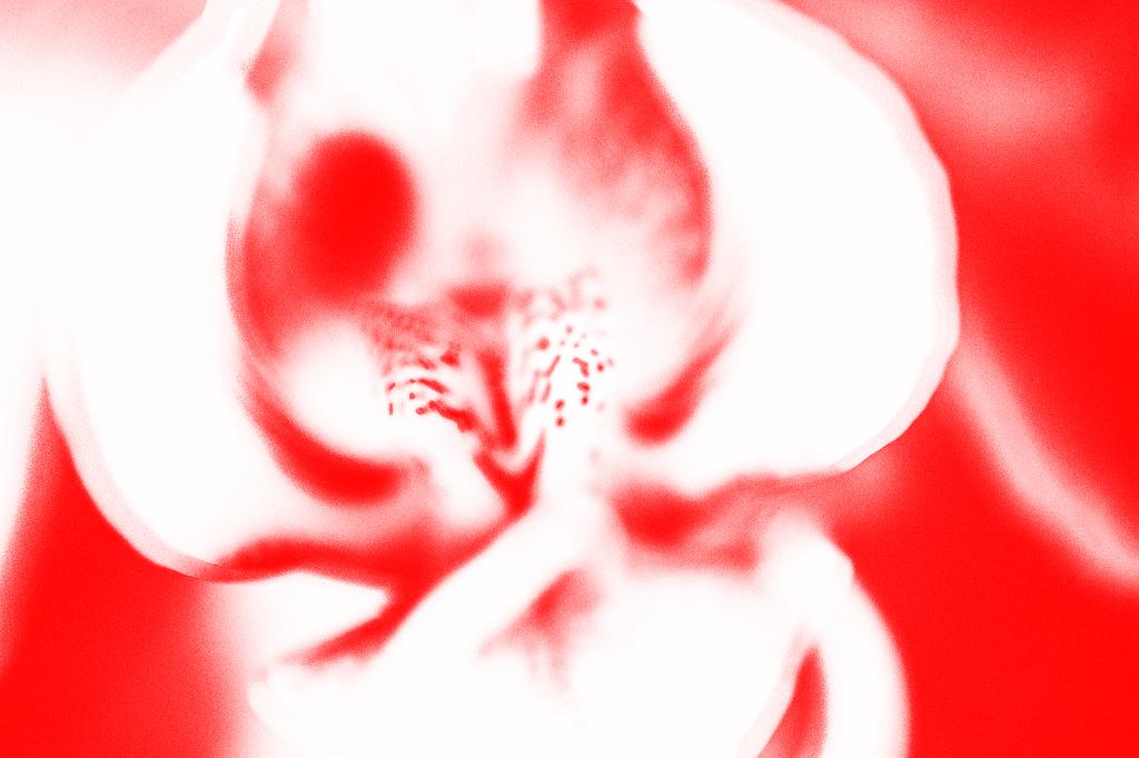 RED, a poem by <a href="/AnnaSulan/">Anna Sulan Masing</a> #CelebrateRed spr.ly/60198rs6R