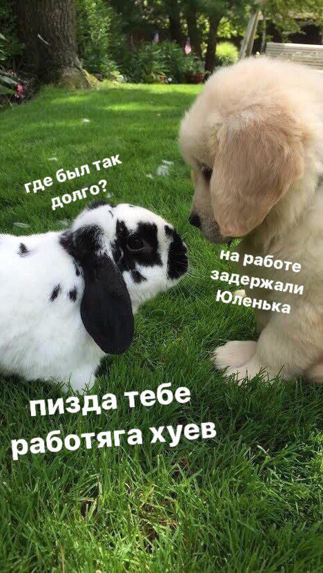kimkgoddess's tweet photo. любимые мемесы - мемесы, сделанные моим @sleepgeekk ♥️♥️♥️♥️ https://t.co/cEOBhNRK6i