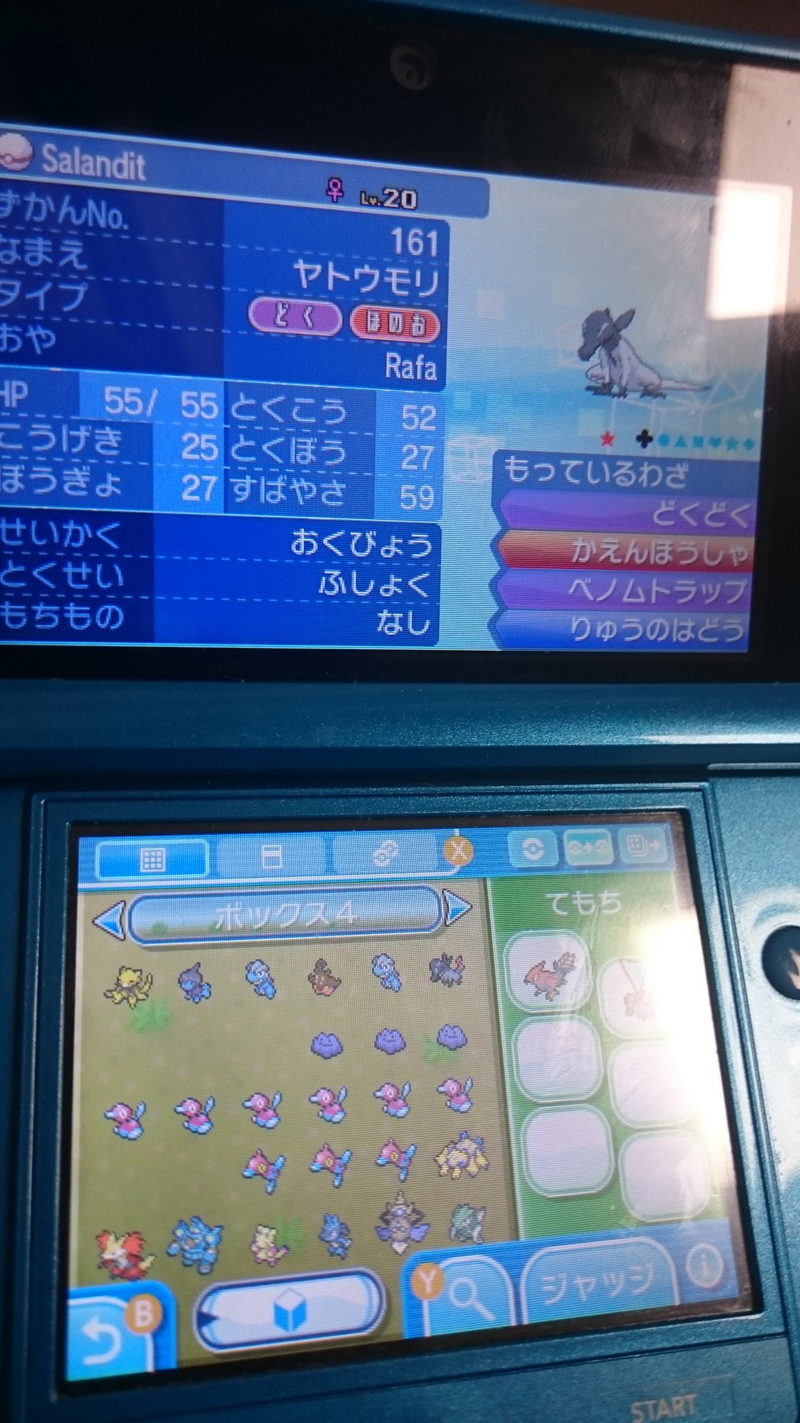 Eevee 出 交換入手した個体です 臆病色6v ヤトウモリ 意地6vニャビー 求 アローラ新ポケの性格一致色個体 国産or進化前海外産のnn無し 旧ポケのアローラの姿含む ポケモン交換 ポケモン色違い サンムーン色違い T Co Uociu0dtsu