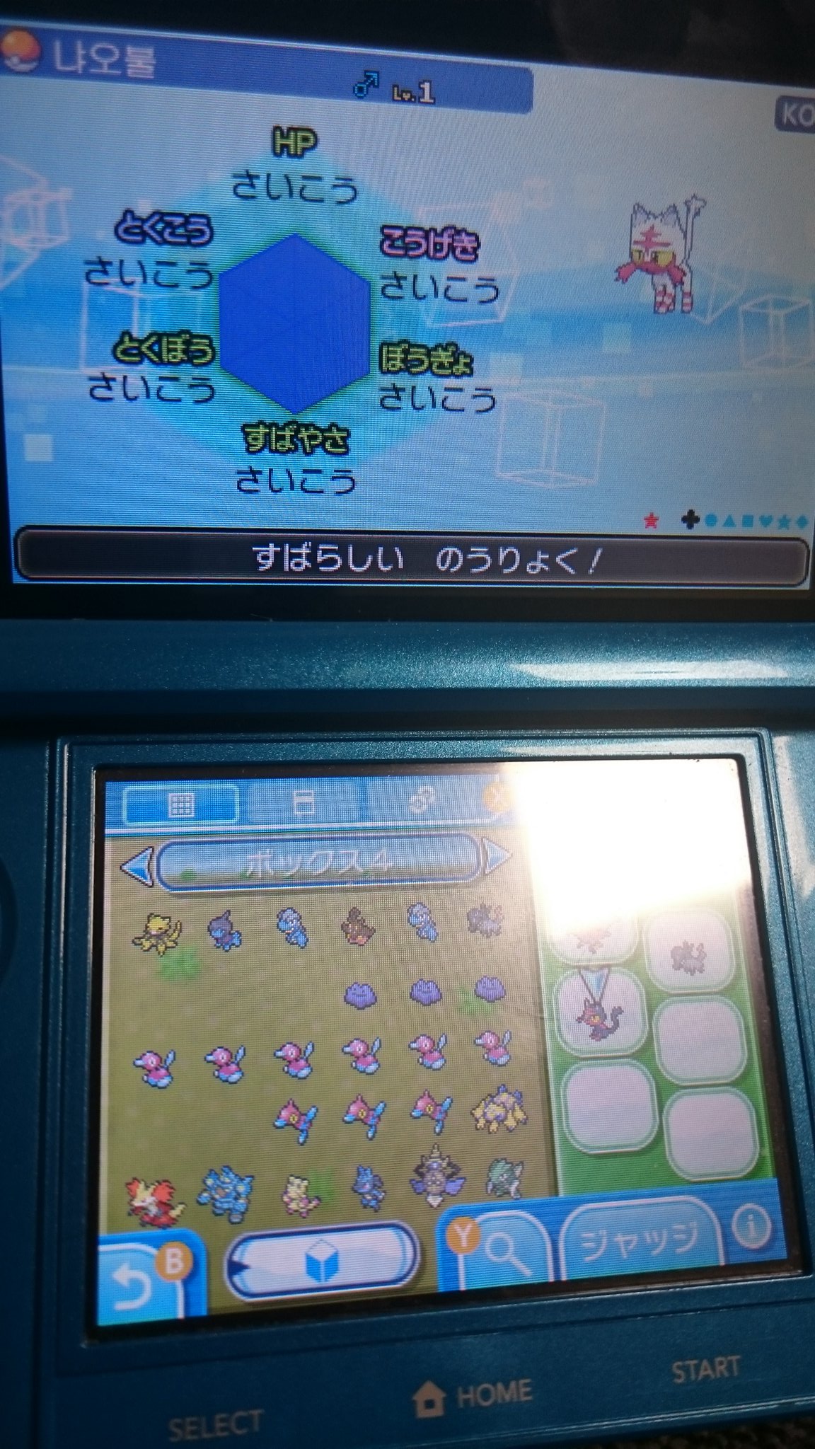 Eevee 出 交換入手した個体です 臆病色6v ヤトウモリ 意地6vニャビー 求 アローラ新ポケの性格一致色個体 国産or進化前海外産のnn無し 旧ポケのアローラの姿含む ポケモン交換 ポケモン色違い サンムーン色違い T Co Uociu0dtsu