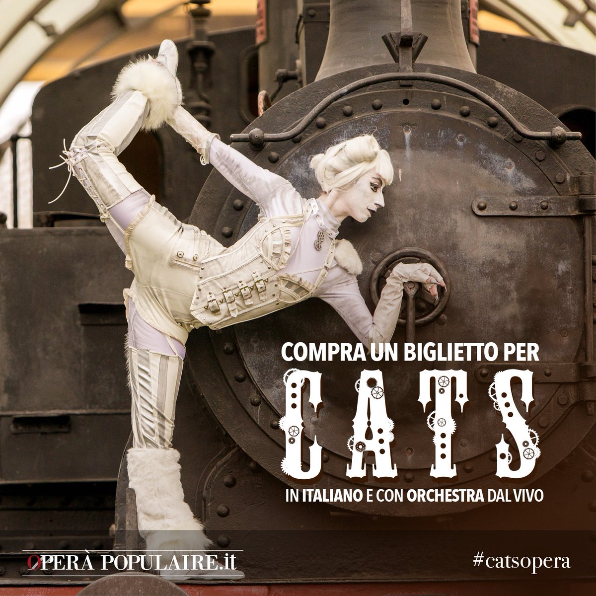 _OperaPopulaire's tweet photo. Venite a vedere ballare la bellissima gatta #Victoria! Comprate un biglietto per #CATS! #catsopera #catsthemusical #operapopulaire #music https://t.co/Kn97gT7JFl