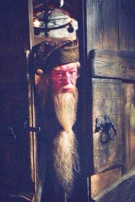 PotterWorldUK's tweet photo. When I hear someone having a conversation about Harry Potter without me https://t.co/gHMqpVCCcU