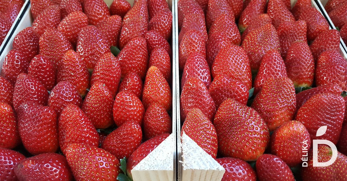 DelikaES's tweet photo. Labios de 🍓 sabor de ❤️... 🎶 Vaya pintaza tienen, ¡y de #Huelva! ¿Te contamos un secreto? Es una de nuestras frutas preferidas! Pero shhh! 🤐 https://t.co/0T5vTmxG6H