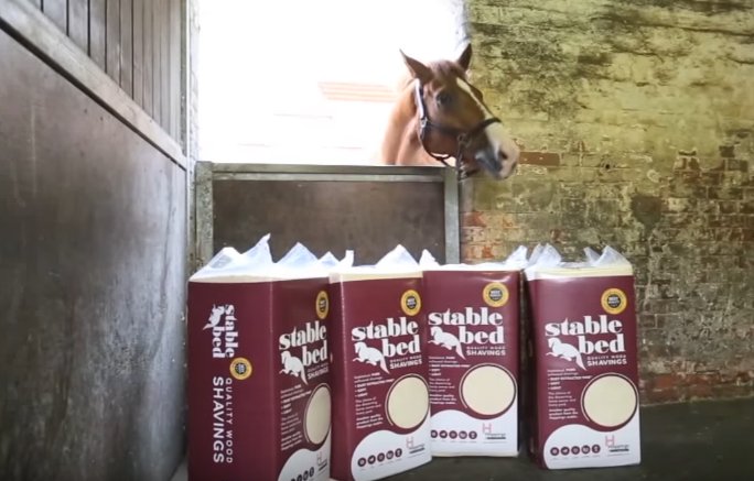 StableBed's tweet photo. Dust extracted pine shavings for the discerning horse owner and livery yard #equine https://t.co/R0RrDJX0Of https://t.co/wpJNeJ7RNN