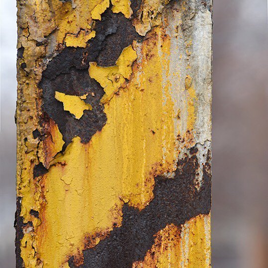 1sqft's tweet photo. #rust #rustlord_texturaunique_ #rush #rustlords #igerschicago #tracesweleavebehind #instac… https://t.co/6x0FO0uiVX https://t.co/5WGWp8rLuk