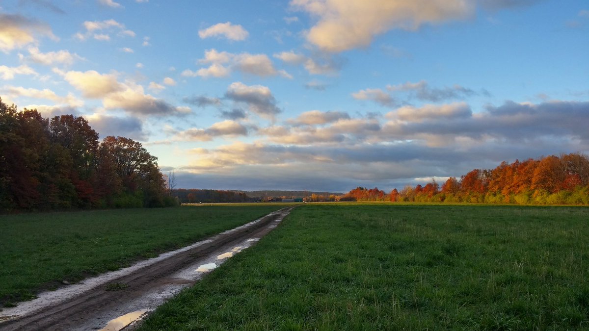 Linc Farm's Juliet tweet media