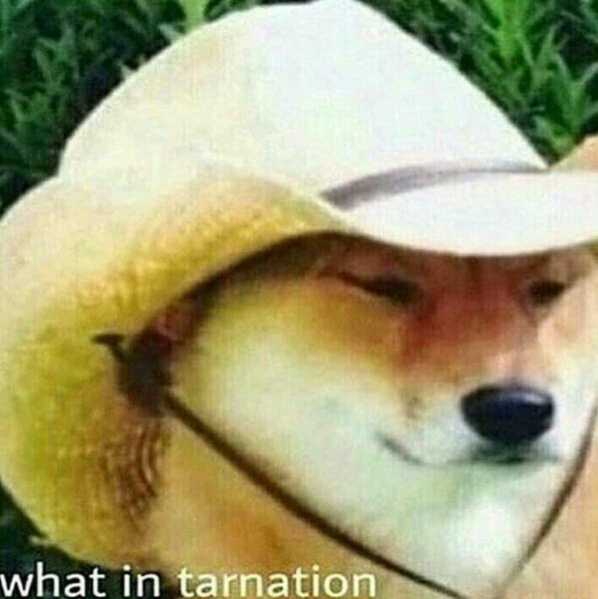 Syd_Wendt_44's tweet photo. When you find out that your school actually has a late start for once. #wyoprobs https://t.co/MJ6wkfHj9k