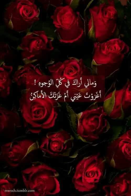 dawod222's tweet photo. @VIP_ra3cha ~*~
بيني وبينكَ عهدٌ خالدٌ أبداً
حفظتُهُ لكَ في أعماقِ أعماقي
مَشاعري خَفقةٌ بالصّدقِ راقيةٌ
مازالَ يسمو بها أسلوبك الرَّاقي https://t.co/ZyVRJ6cHL9