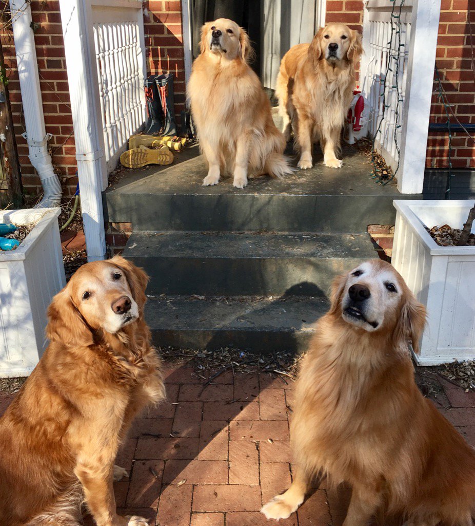 TheGoldenRatio4's tweet photo. All these photos are bringing out everyone's inner model. https://t.co/UT5Ds3DTWL