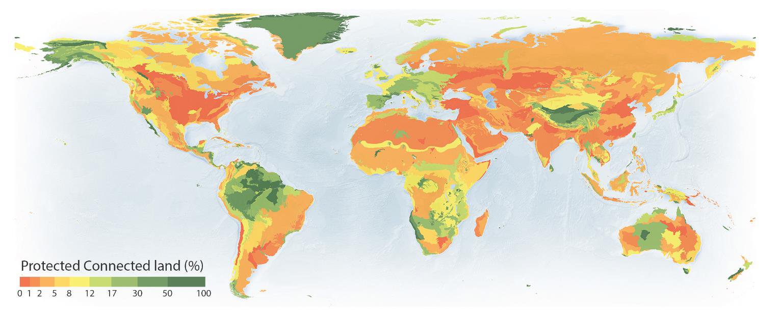 Terrestrial Ecoregions Of The World Eu_Sciencehub On Twitter: "Protected Connected Land (% Of Ecoregion Area)  For All The World's Terrestrial #Ecoregions As Of June 2016. More ➡️  Https://T.co/Qxwjm1Jr2G Https://T.co/02Tzscvgcm" / Twitter