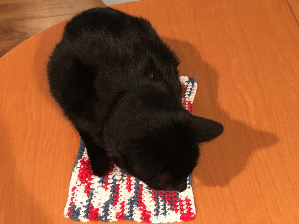 geekkidblog's tweet image. 6 Ways to Get Cats to Do What You Want Them to Do geekkid.com/6-ways-to-get-…