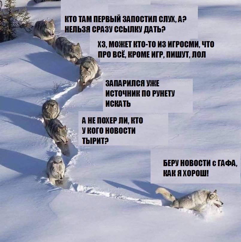 Открытке мая, прикольная картинка волки по снегу