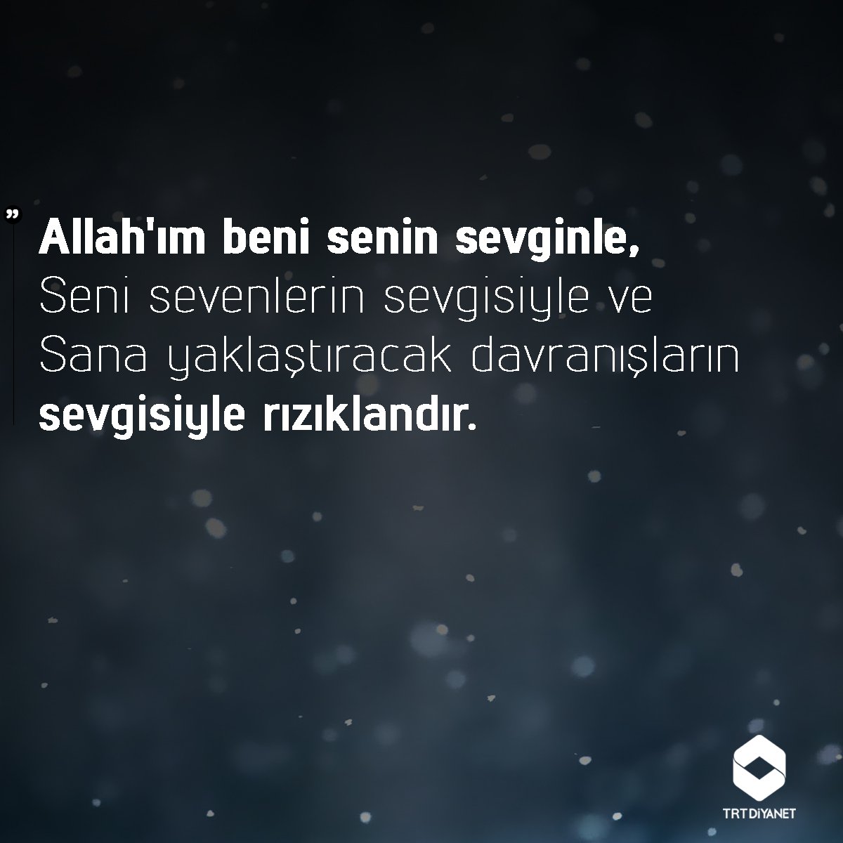 Sening eshakni ohista yalaydilar