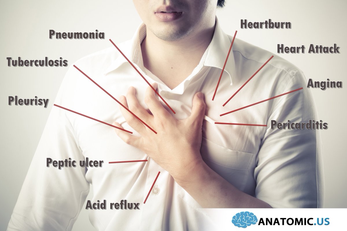 Anatomic Us On Twitter Chest Pain Is A Pain Often Referred To The Anterior Portion Or Inside The Thoracic Cavity Anatomy Chest Pain Https T Co Hbbacom8w7 Https T Co W6ilwibedh