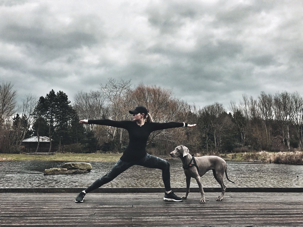 Stretch and Stride tweet media