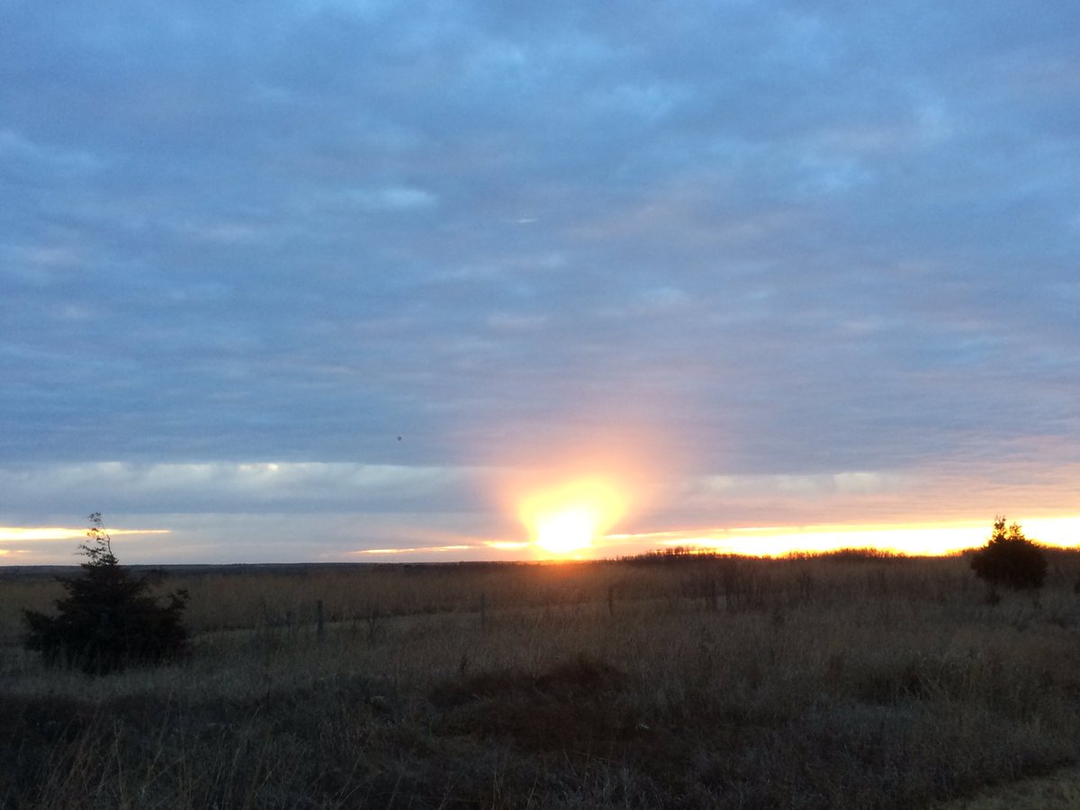FortRiley's tweet image. #dawn breaks Feb. 1 over #fortriley training areas. #FightingFirst #usarmy #soldiers are in Danger Focus II exercise.