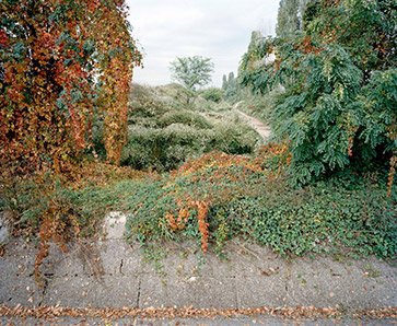 formagramma tweet media