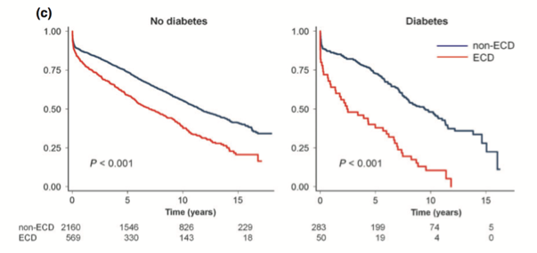 Transpl_Int's tweet photo. Poor prognosis after ECD #kidney #transplant in diabetic patients. Is it worth doing? https://t.co/N2cPvcq0wr https://t.co/ZrykSZ5nkJ