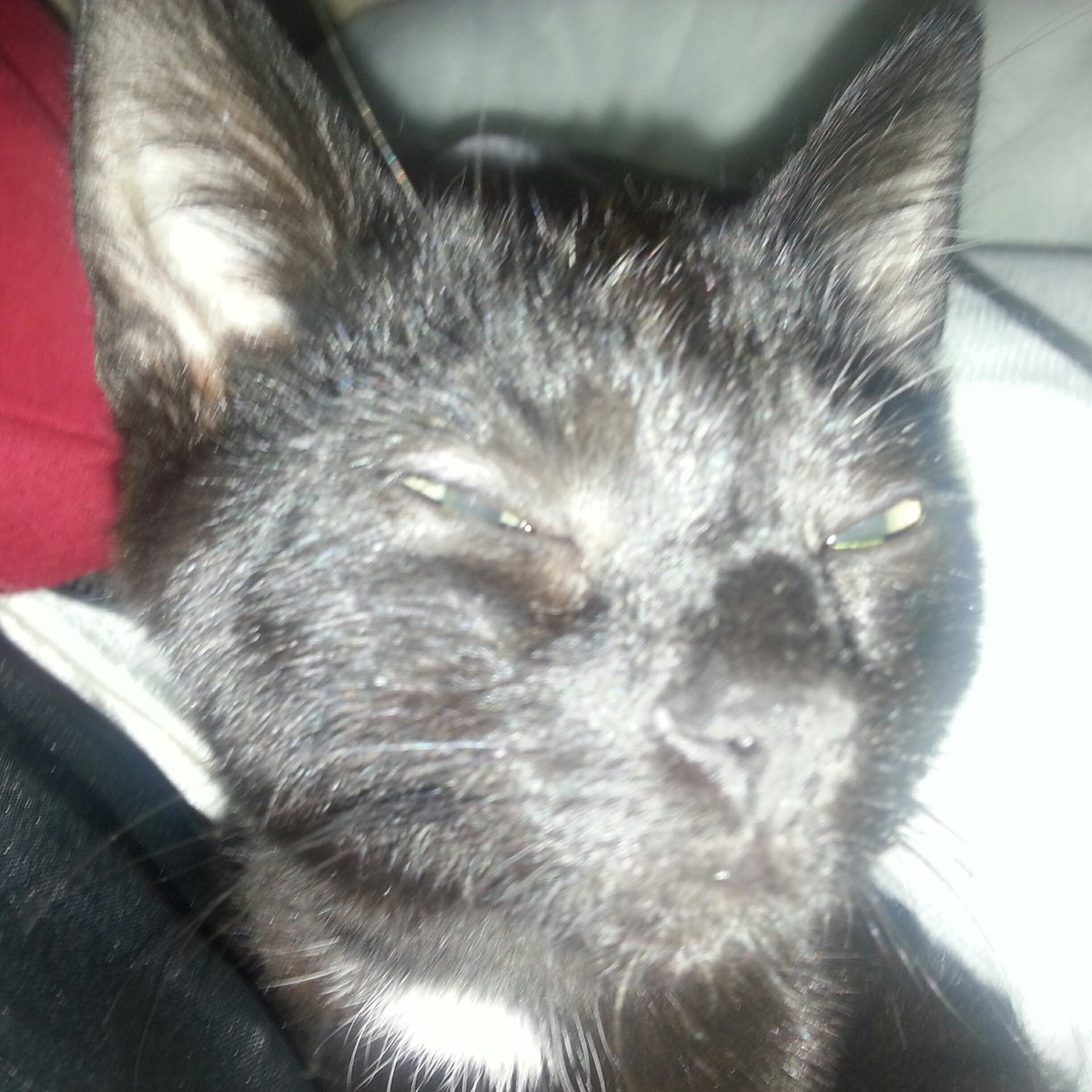 #NewProfilePic