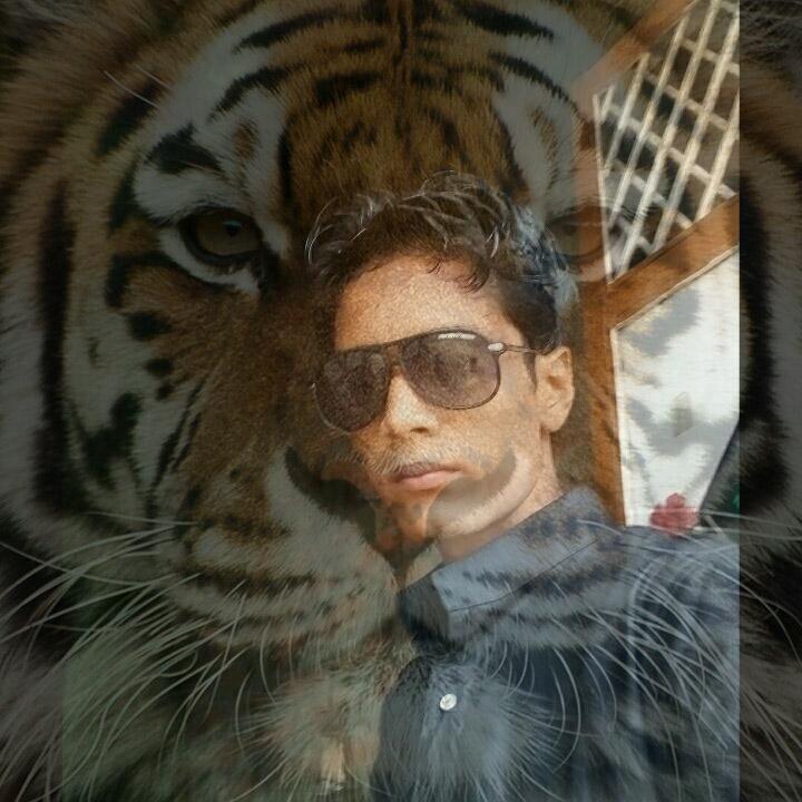 noormohammad787's tweet image. 