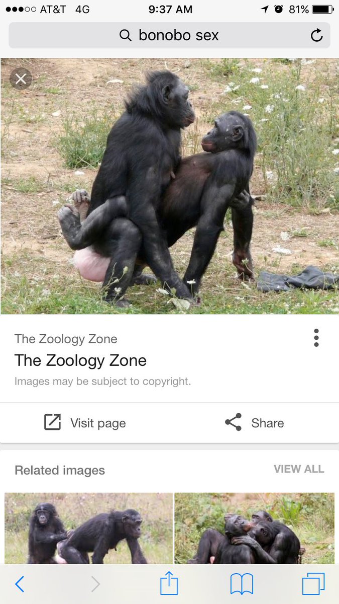 EricMasterBader's tweet image. Thanks @chickmcgee1! Found a great new site #bobandtomlikemonkeysex