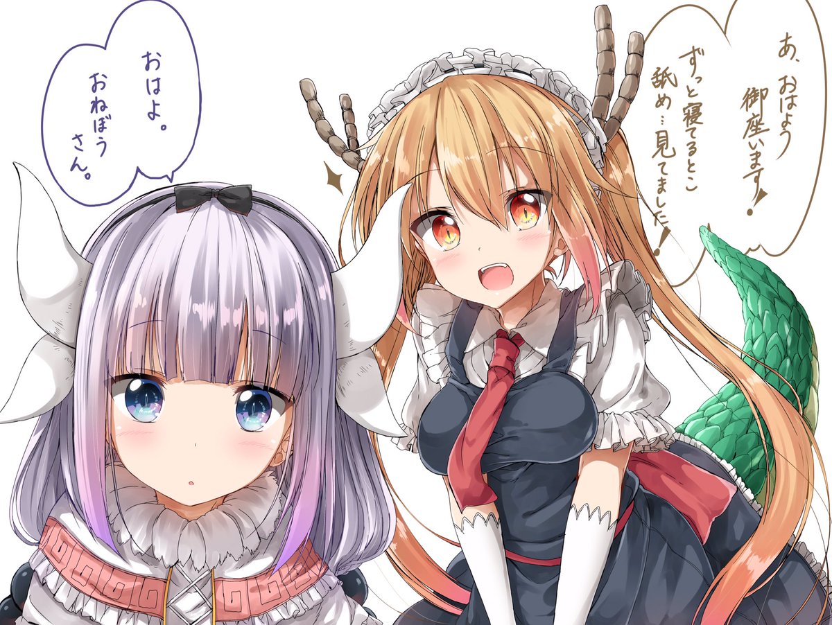 ぺんたごん Pa Twitter おはよう御座います Maidragon