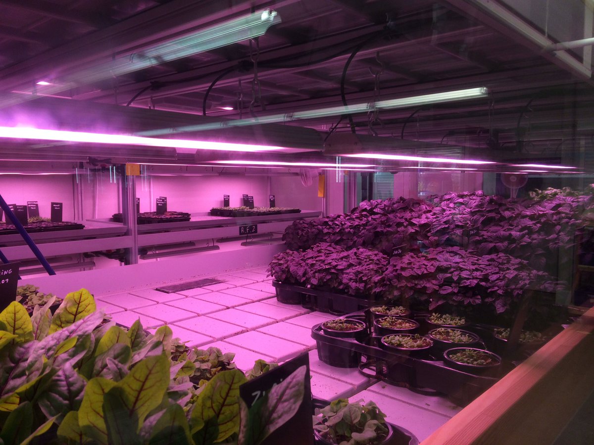 InstoreFarming tweet media