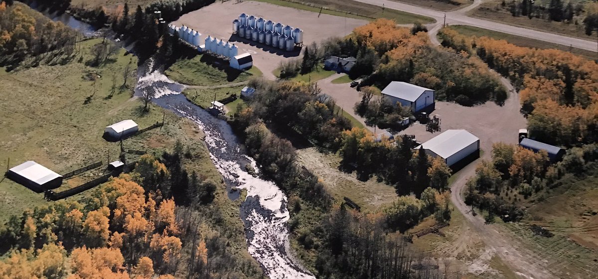 Hyra🌱🇨🇦 tweet media