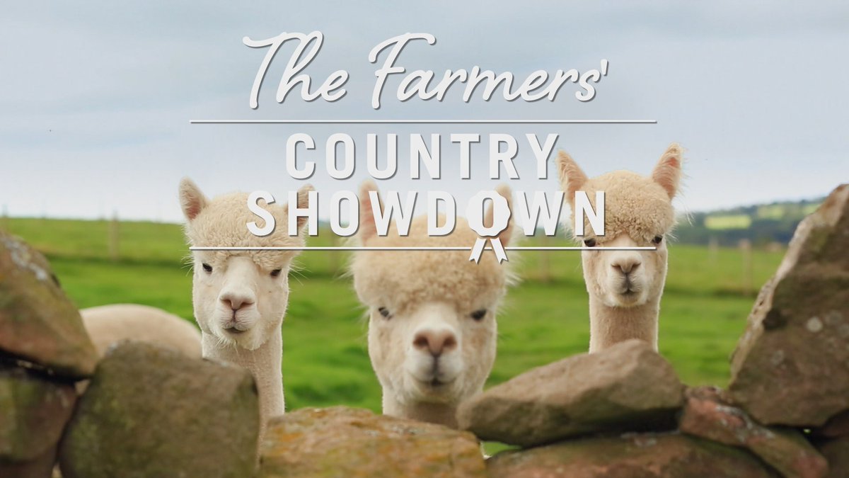 <a href="/nidderdaleshow/">Nidderdale Show</a> new BBC1 farming series Mon 13 Feb @ 15.45 &amp; every weekday for 3 weeks, find out more tinyurl.com/gq45yle  pls RT #TFCS