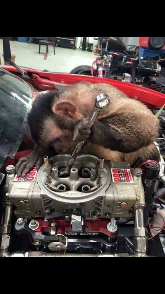 foolie's tweet photo. #gasmonkeygarage #gysot lol https://t.co/pFgBiSNnHI