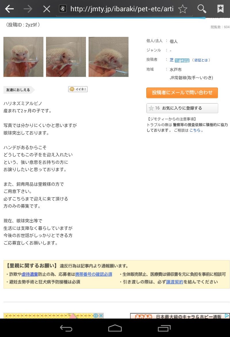 ciel alencon シエル V Twitter ジモティのヤバイ投稿 眼球突出の子の募集 ハンデがあるからこそどうしても迎え入れたい人にお譲りしたいって変 生き物だから予想もしない障害を持って誕生することがあっても 生きている限りは最後まで責任持って面倒 ciel alencon シエル V Twitter ジモティのヤバイ投稿 眼球突出の子の募集 ハンデがあるからこそどうしても迎え入れたい人にお譲りしたいって変 生き物だから予想もしない障害を持って誕生することがあっても 生きている限りは最後まで責任持って面倒