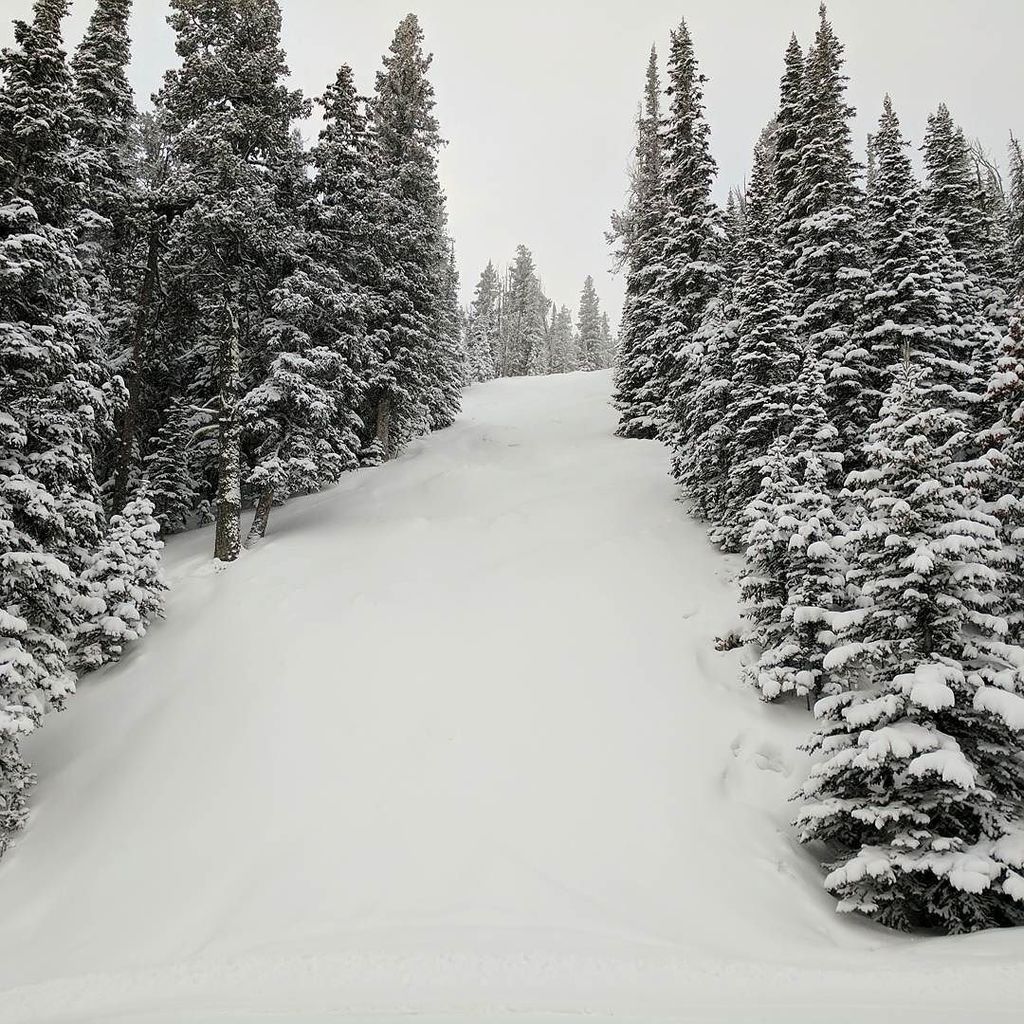 RedLodgeMntn's tweet photo. 7" of untouched goodness just waiting for you to lay down some tracks. 
#myredlodge #redlo… https://t.co/djKCvPozfM https://t.co/d8Gj0a5Qgx