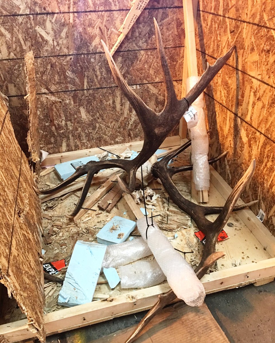 Kyle Sinclair-Smith tweet media