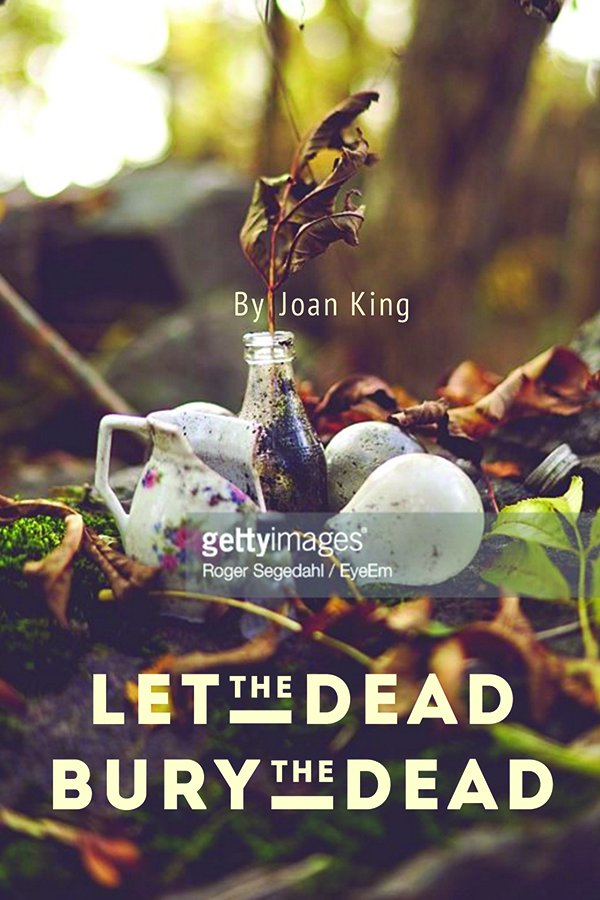 BeatingWindward's tweet image. 2 more #LTDBTD covers revealed today! Tell us which you like best &amp;amp; you could win a copy of the book! bit.ly/2krqXPi #WWII #PTSD