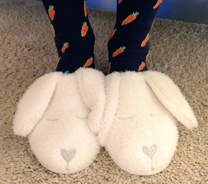 Secreto: yo tambi&eacute;n uso pantuflas 😜 Eso s&iacute;, zanahorias 🥕 para tod@s! https://t.co/ShZGeVdYZx<a href="/tag/adeudelfinari"class="tags"><span>#adeudelfinari</span></a>