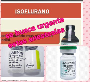 ymujica2909's tweet photo. @spvzla Para operación de paciente oncológico, se busca urgente anestesias #esmeron o #rocuronio e #isoflurano. Gracias! #barquisimeto https://t.co/wdMRMfoLDC