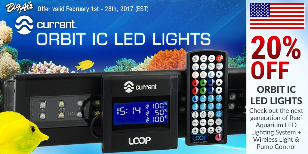 BigAls_Pets's tweet photo. SPECIAL on Orbit IC LEDs! Shop NOW -> https://t.co/ACdsS2thwf #CurrentUSA #OrbitIC #LEDLighting #Reef #Aquariums #BringUsHome #KeepOnTankin https://t.co/80PUSHehhm