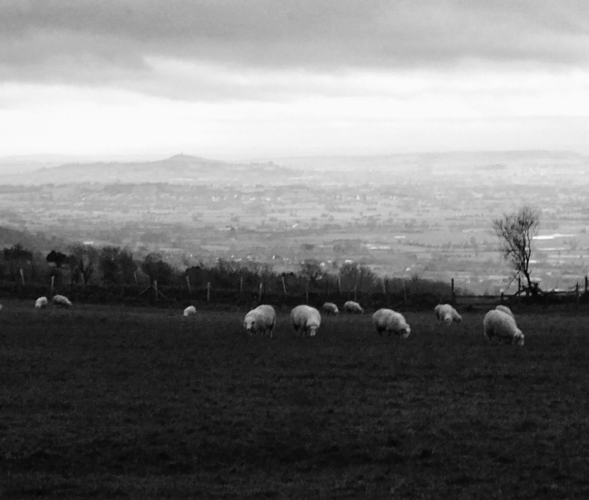 The view from our upcoming Mendip24 campsite... imagine this on a warm May evening as you rest by your tent #sunset #glastonbury #view