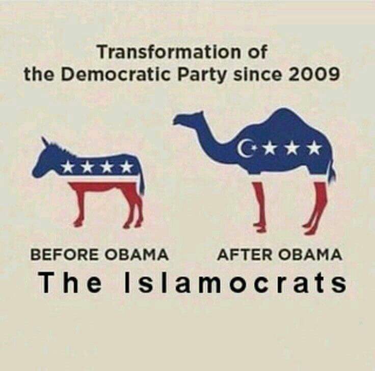 https://pbs.twimg.com/media/C3mEf4nXUAMR_L_.jpg:large