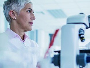 TSRL_Inc's tweet photo. TSRL's #preclinical #accelerator is highlighted on Elsevier's January Start-Up Spotlight! @ElsevierConnect https://t.co/UMoB8SUfUu https://t.co/4dZ0OtaYDh