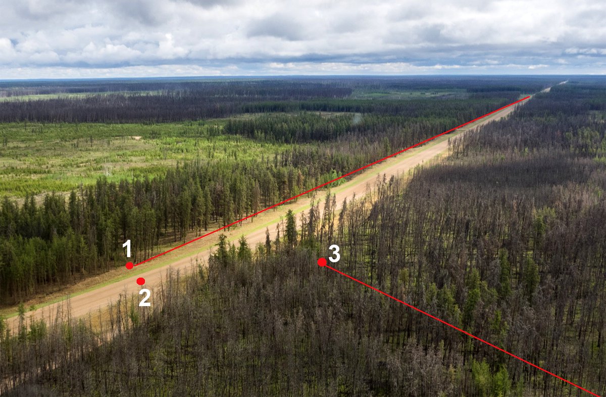 CondorJournal's tweet photo. New! Sound attenuation in forest and roadside environments: Implications for avian point-count surveys https://t.co/vU6E6DDDCm #ornithology https://t.co/hRAv8fZWjG