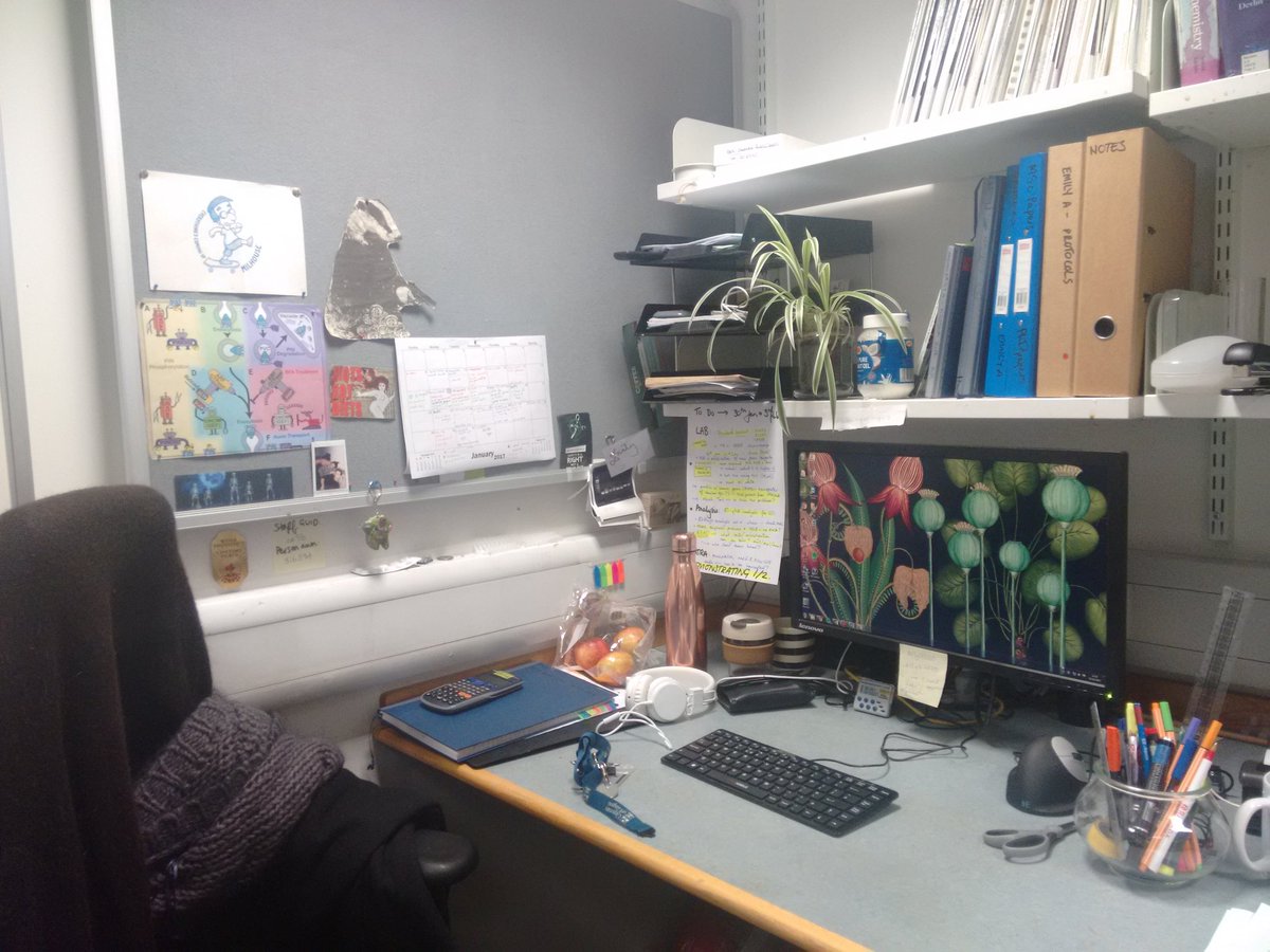 emilyxarmstrong's tweet photo. #pgresearchspace @UofGIMCSB ft. To-do list, plant, apples & a lot of coffee #plantscience https://t.co/3ZwN85SGNk