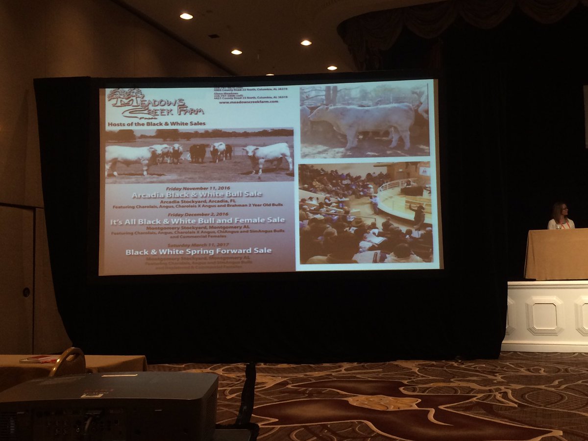 jimcollinsV's tweet photo. Richard Meadows to NCBA. "We are in the Cattle business, Beef business, &amp; grass business.. We are FIRST in the people business." #beefmeet https://t.co/3Z94nCghuM