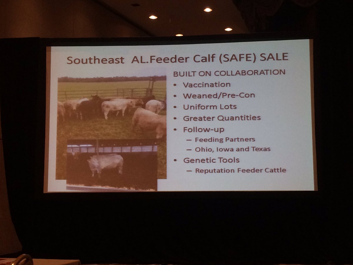 jimcollinsV's tweet photo. Richard Meadows to NCBA. "We are in the Cattle business, Beef business, &amp; grass business.. We are FIRST in the people business." #beefmeet https://t.co/3Z94nCghuM