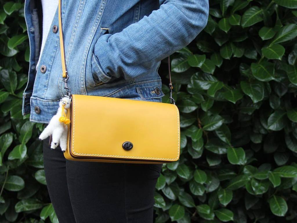 dahliapress's tweet photo. Sometimes your accessories need accessories. π#coachprespring2017 #coachdinky #crossbodybaβ¦ https://t.co/FnAJcaF7Ox https://t.co/oa9B98aH2d